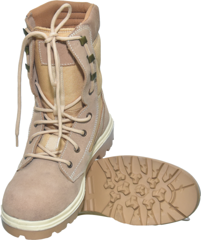 Desert Combat Boot