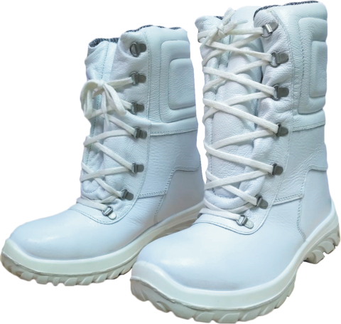 Snow Boot